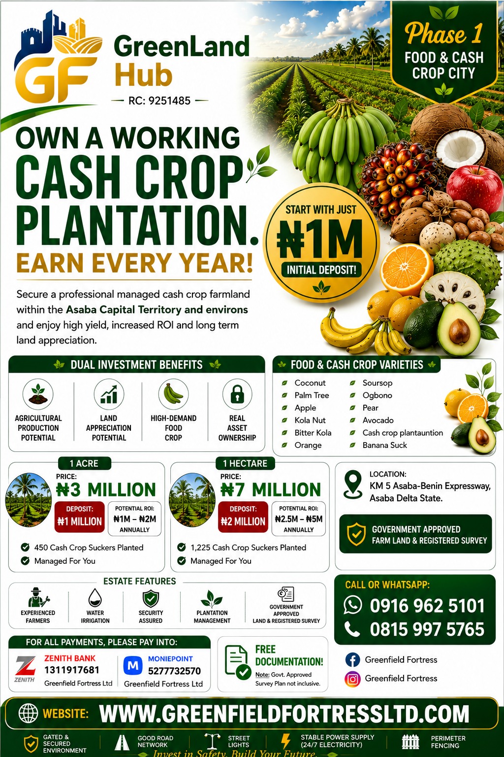 GreenLand Hub cash crop plantation investment flyer — Phase 1 Food and Cash Crop City