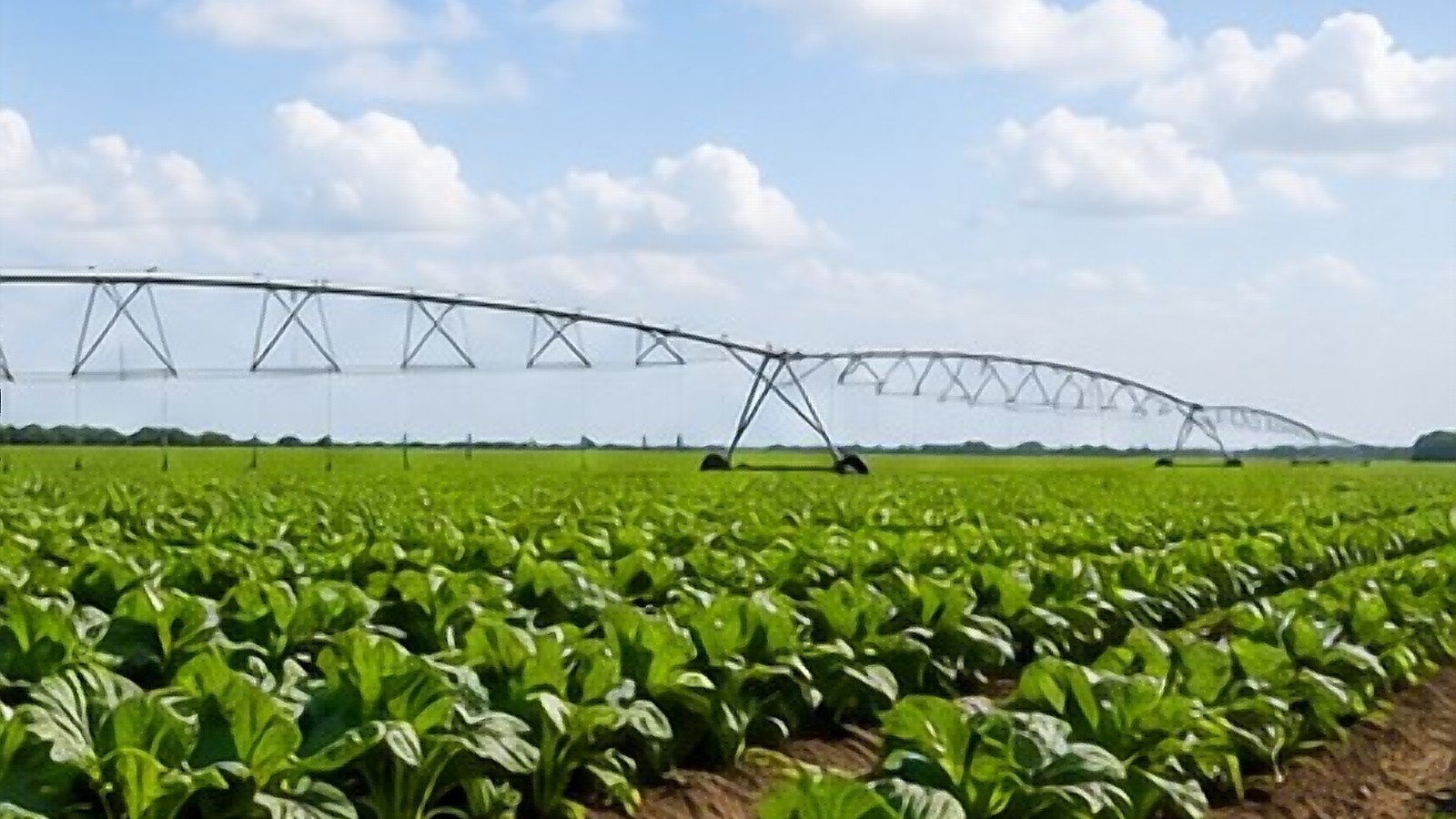 Center-pivot irrigation over farmland